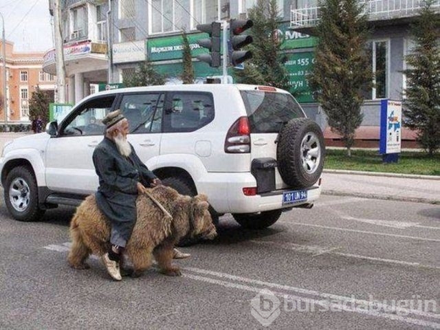 Çılgın pozlar!