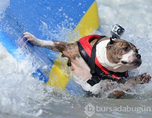 Bu sporlar acayip!