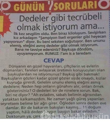 Haydar Dümen`e sorulmuş absürt sorular bakın neler...
