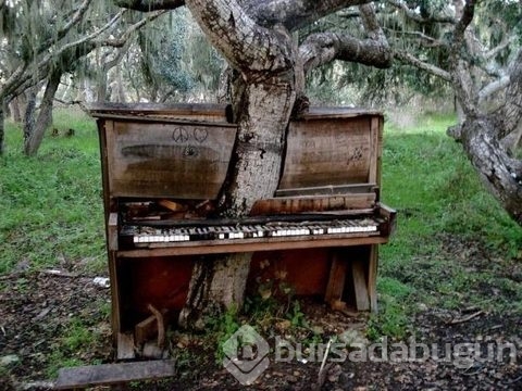 Artık insanın ayak basmadığı topraklar