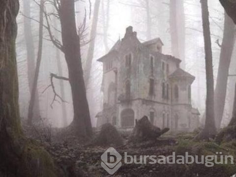 Artık insanın ayak basmadığı topraklar