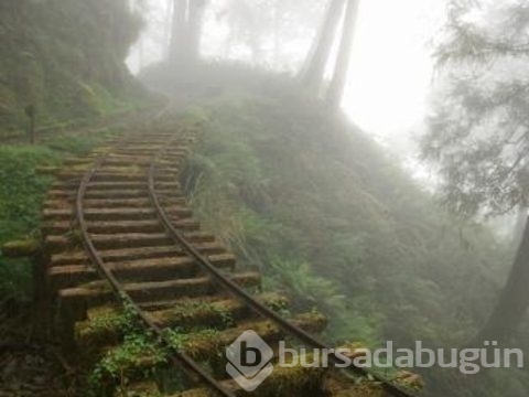Artık insanın ayak basmadığı topraklar