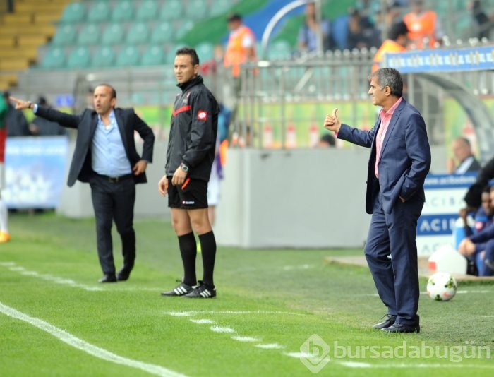 Timsah'ın Rize'de çay keyfi!