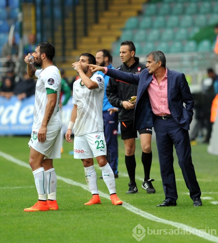 Timsah'ın Rize'de çay keyfi!