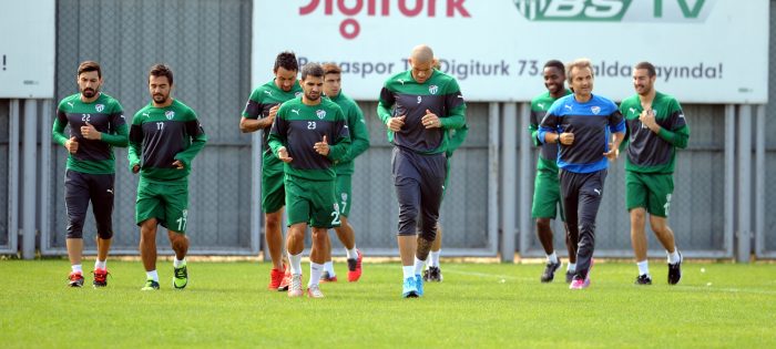 Timsah ara vermedi