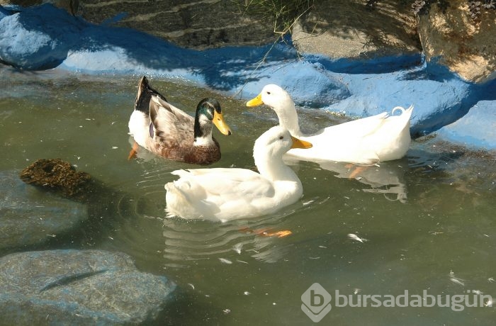 Doğa Koleji öğrencilerinden anlamlı yardım