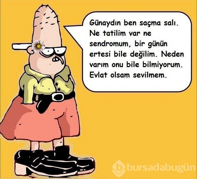 Fenomen Baaddin'in son bombaları