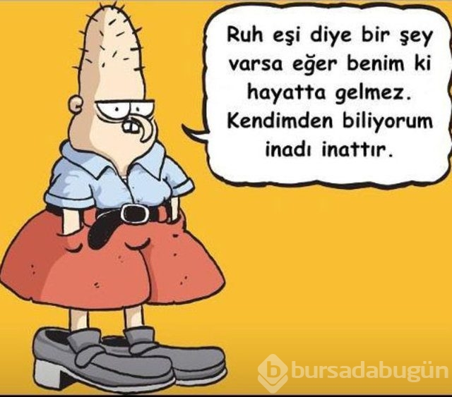Fenomen Baaddin'in son bombaları