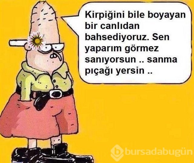 Fenomen Baaddin'in son bombaları