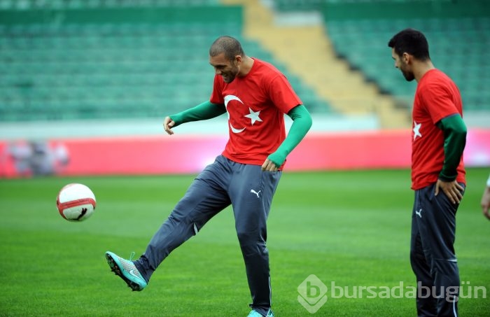 Timsah kendini sıkmadan turladı!