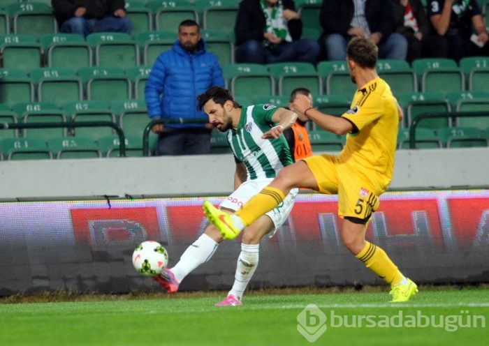 Timsah Sivas'a da acımadı!