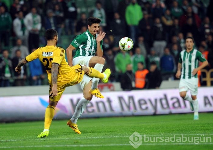 Timsah Sivas'a da acımadı!