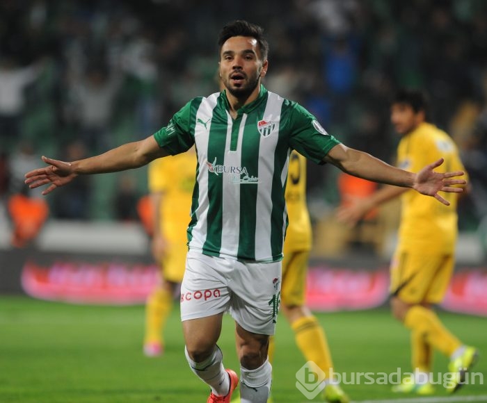 Timsah Sivas'a da acımadı!