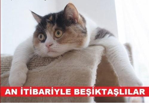 Derbi capsleri yıktı geçti!