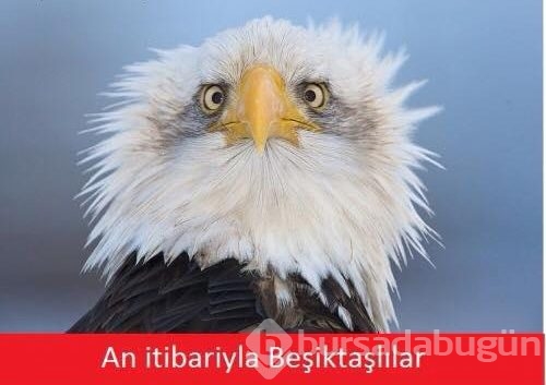 Derbi capsleri yıktı geçti!