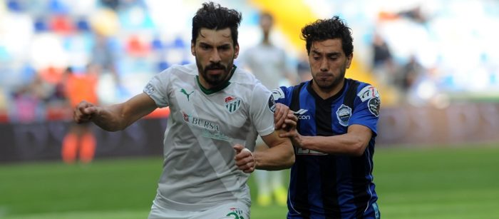 Timsah Kayseri'de fırsat tepti!