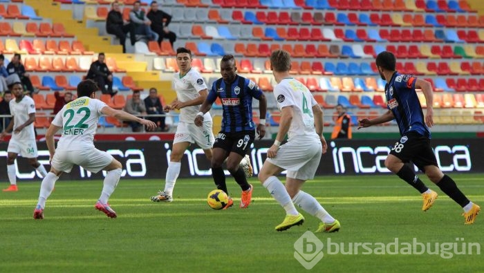 Timsah Kayseri'de fırsat tepti!