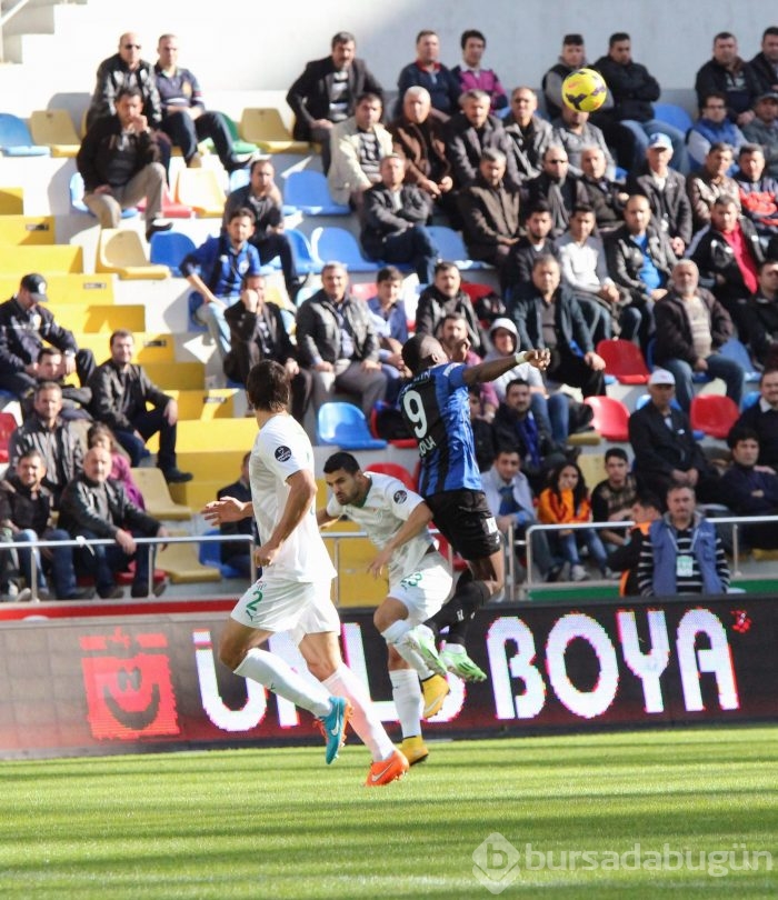 Timsah Kayseri'de fırsat tepti!