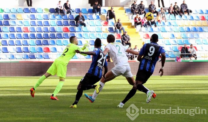 Timsah Kayseri'de fırsat tepti!