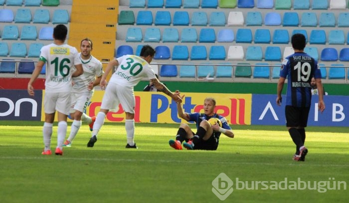 Timsah Kayseri'de fırsat tepti!