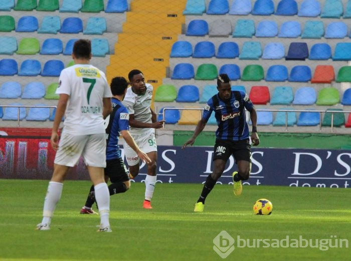 Timsah Kayseri'de fırsat tepti!
