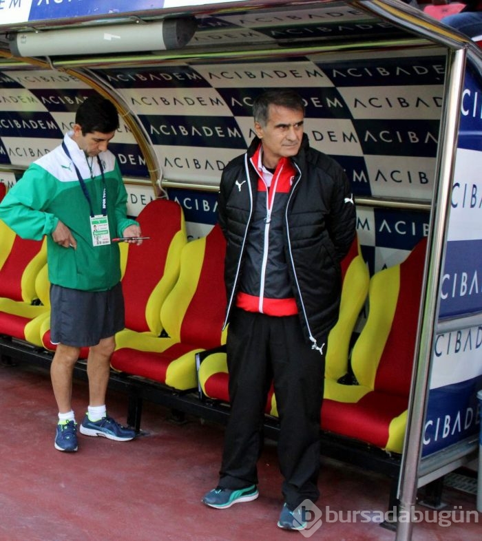 Timsah Kayseri'de fırsat tepti!