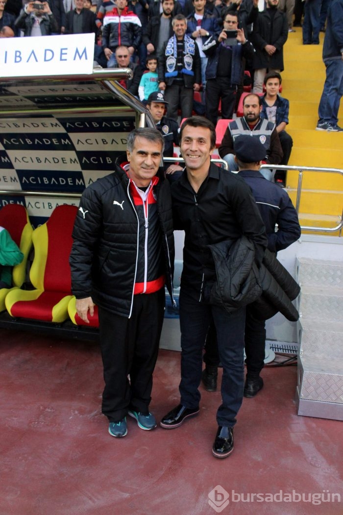 Timsah Kayseri'de fırsat tepti!