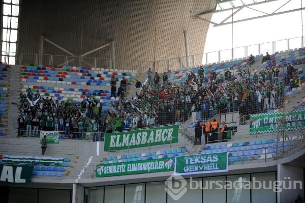 Timsah Kayseri'de fırsat tepti!