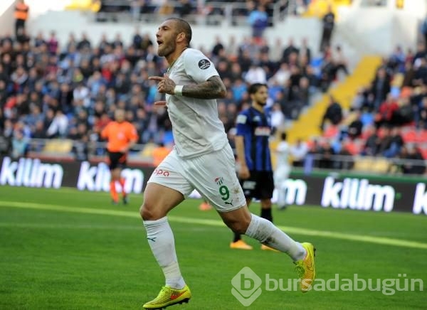 Timsah Kayseri'de fırsat tepti!