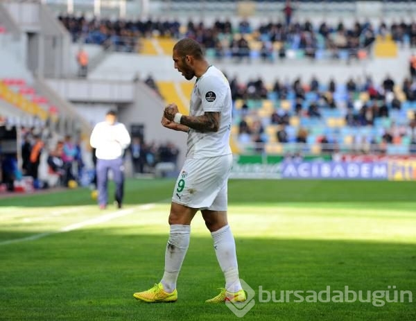 Timsah Kayseri'de fırsat tepti!