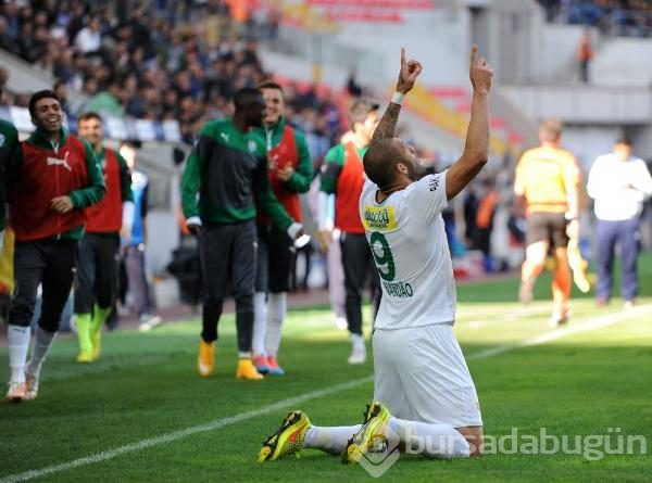 Timsah Kayseri'de fırsat tepti!