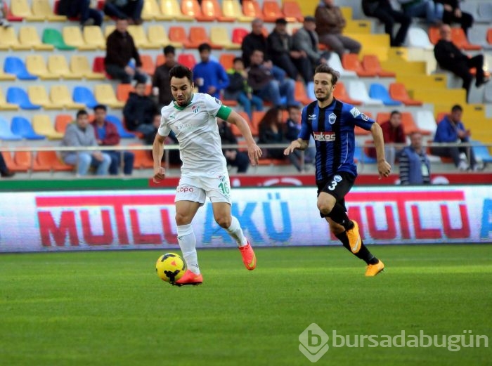 Timsah Kayseri'de fırsat tepti!