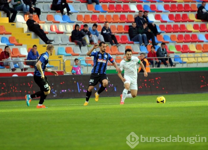 Timsah Kayseri'de fırsat tepti!
