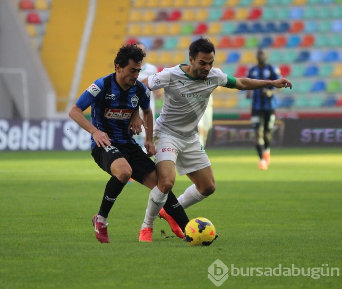 Timsah Kayseri'de fırsat tepti!