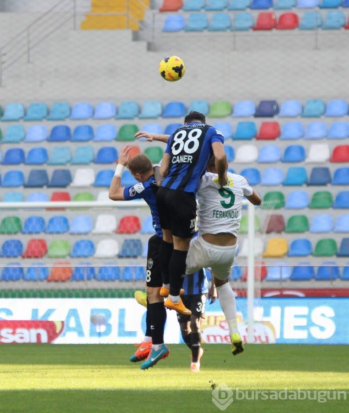 Timsah Kayseri'de fırsat tepti!