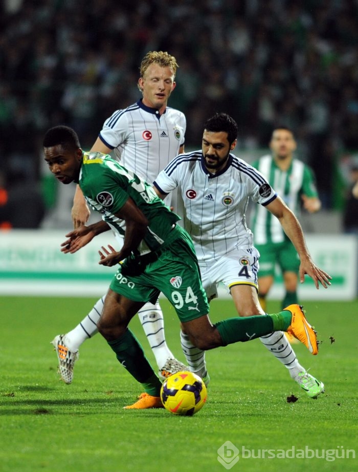 Timsah Kanarya'yı elinden kaçırdı!