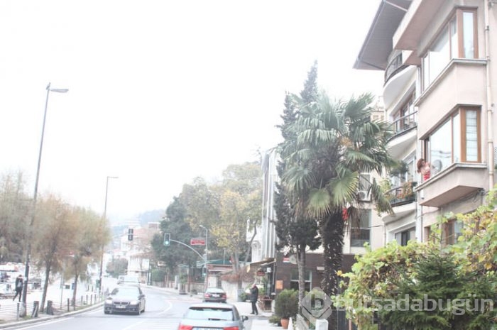 5 milyon dolarlık temizlik