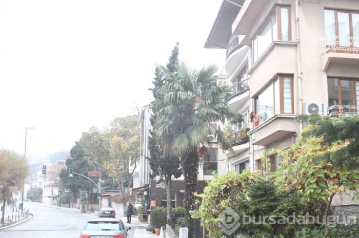 5 milyon dolarlık temizlik