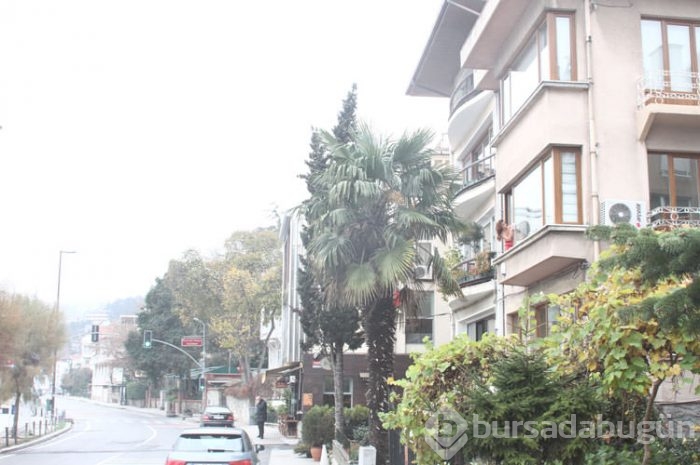 5 milyon dolarlık temizlik