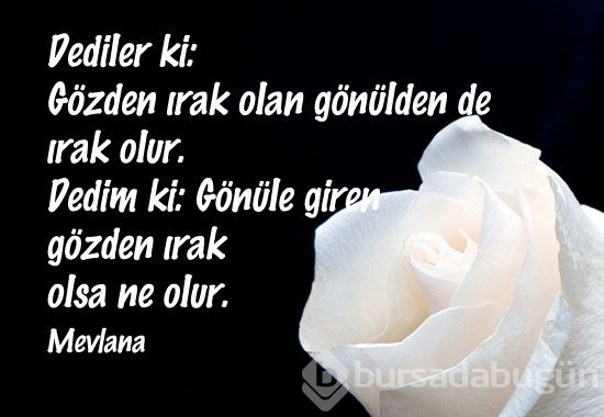 mevlana nin az bilinen cok guzel