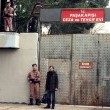 Yağmur-Kıyamet Çiceği