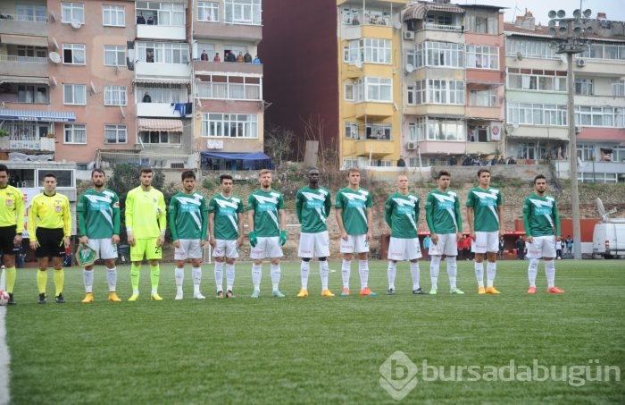 Timsah Gümrük'te takıldı!