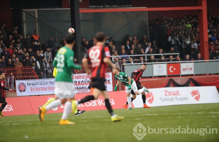 Timsah Gümrük'te takıldı!