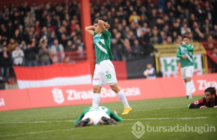 Timsah Gümrük'te takıldı!