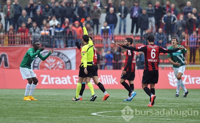 Timsah Gümrük'te takıldı!