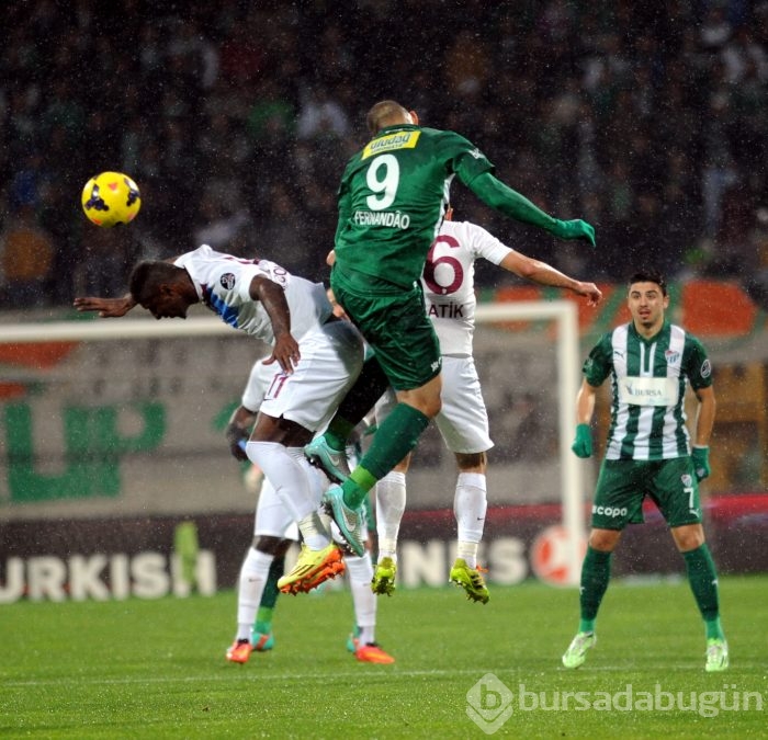 Timsah düelloyu kazanamadı!