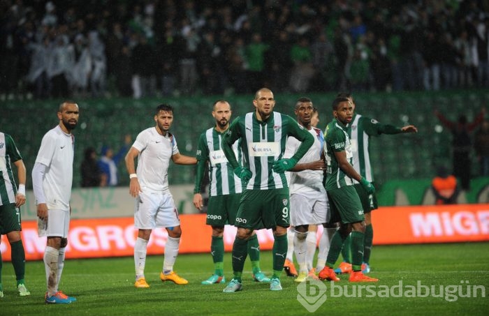 Timsah düelloyu kazanamadı!