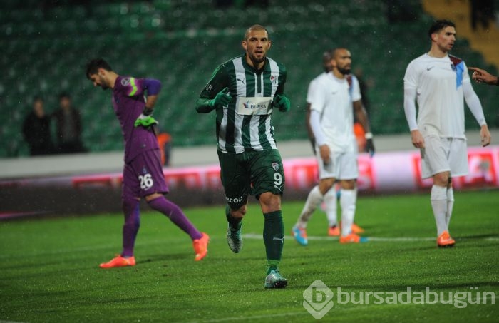 Timsah düelloyu kazanamadı!