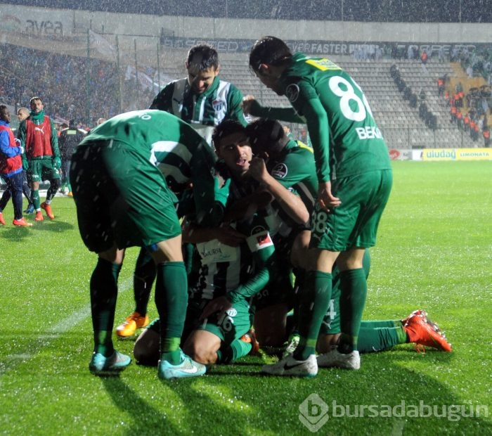 Timsah düelloyu kazanamadı!
