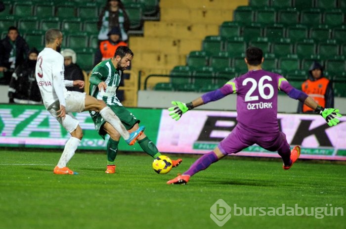 Timsah düelloyu kazanamadı!